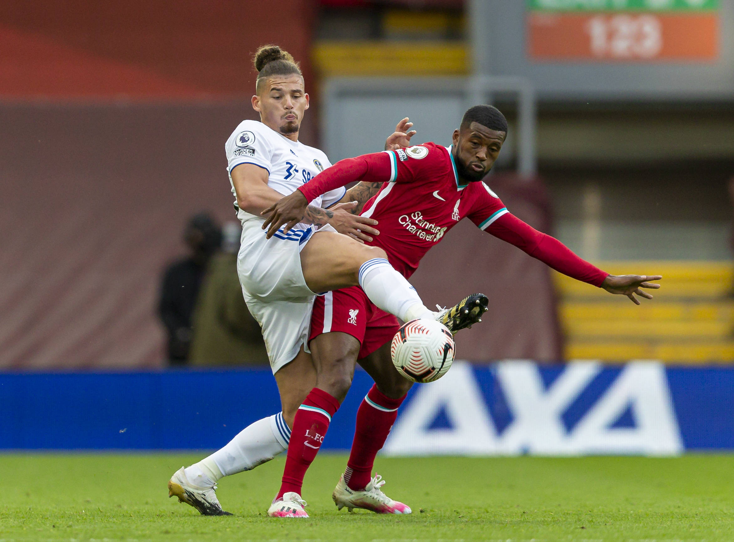 专家分析M 专家分析M